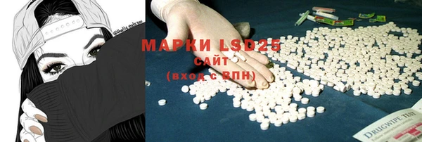 ПСИЛОЦИБИНОВЫЕ ГРИБЫ Михайловск
