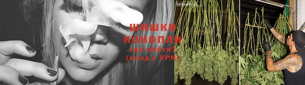 ПСИЛОЦИБИНОВЫЕ ГРИБЫ Михайловск