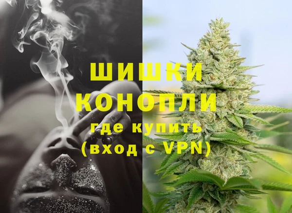 ешки Медногорск