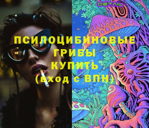 спиды Михайлов