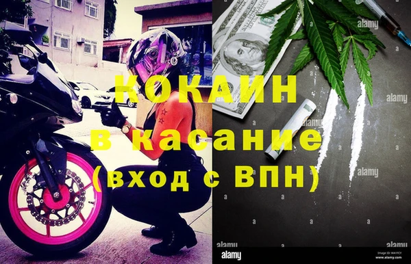 прущие грибы Нижний Тагил