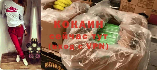 спиды Михайлов