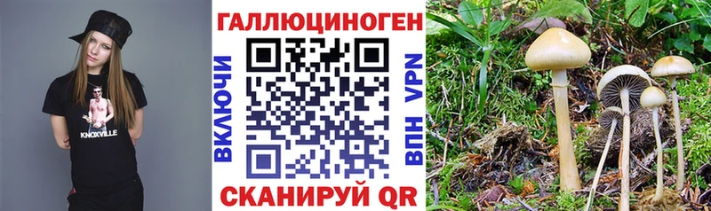 Купить где  Кондрово  Псилоцибиновые грибы ЛСД 