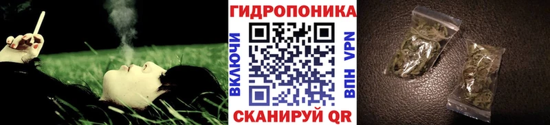 Бошки марихуана Amnesia Купить Кондрово